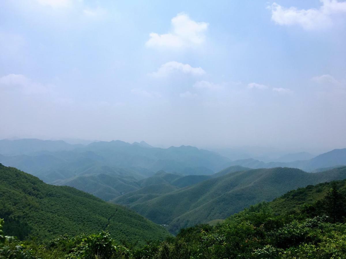 Moganshan Bamboo View Guesthouse Deqing Luaran gambar